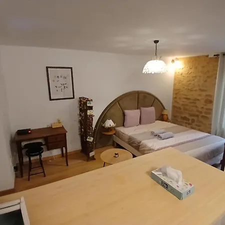 Studio 20M2 - Stationnement Gratuit - Wifi Dijon Buitenkant foto
